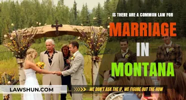 Montana Common Law Marriage: Legal Status and Rights