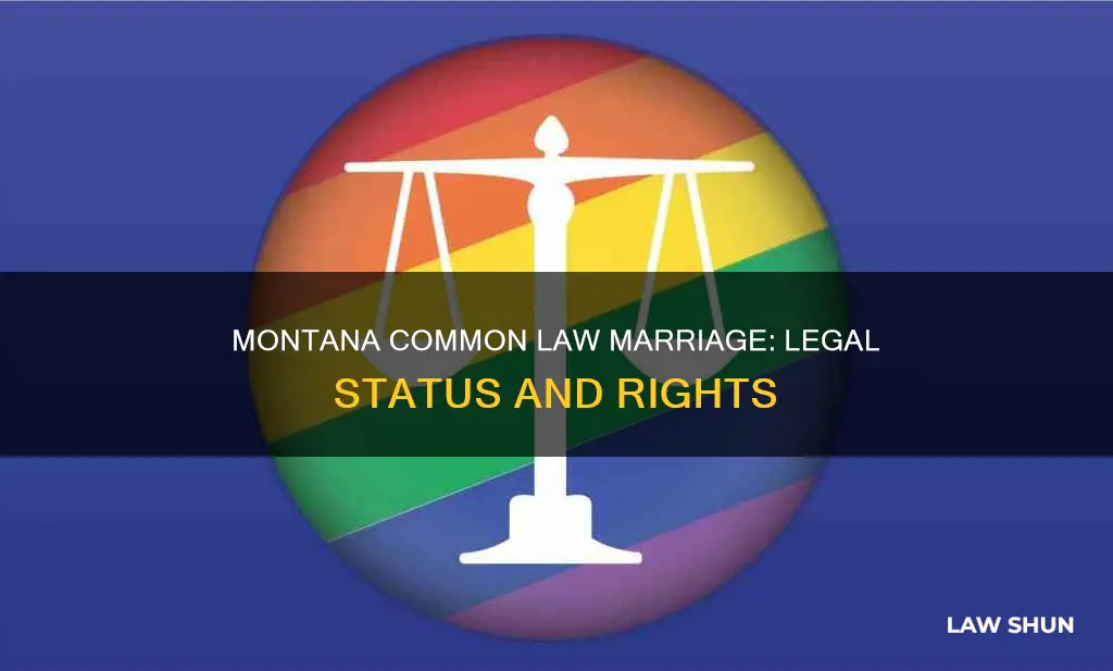 is there are a common law for marriage in montana