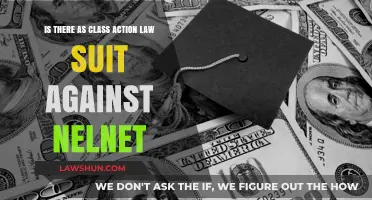 Is There a Class Action Lawsuit Against Nelnet? What Borrowers Need to Know