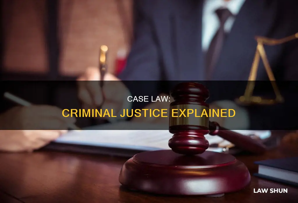 is there case law in criminal justice