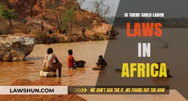 Child Labor Laws in Africa: Current Status and Challenges