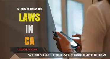 Understanding California's Child Sexting Laws: What Parents and Teens Need to Know