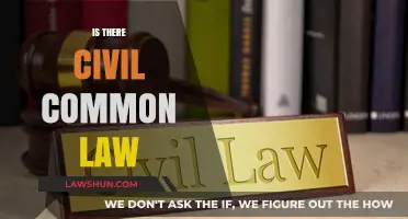 Civil Law vs Common Law: What's the Difference?