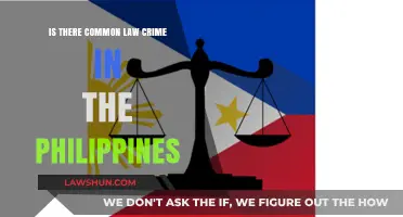 Common Law Crimes: Philippines' Unique Legal System