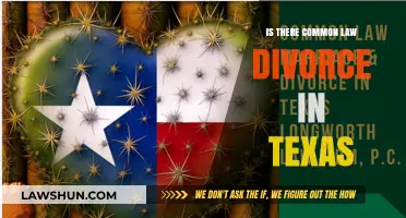 Common-Law Divorce: Texas' Unique Take on Separation