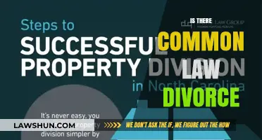 Common-Law Divorce: A Real Possibility?