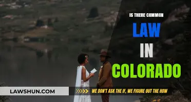 Colorado's Common Law: What's the Deal?
