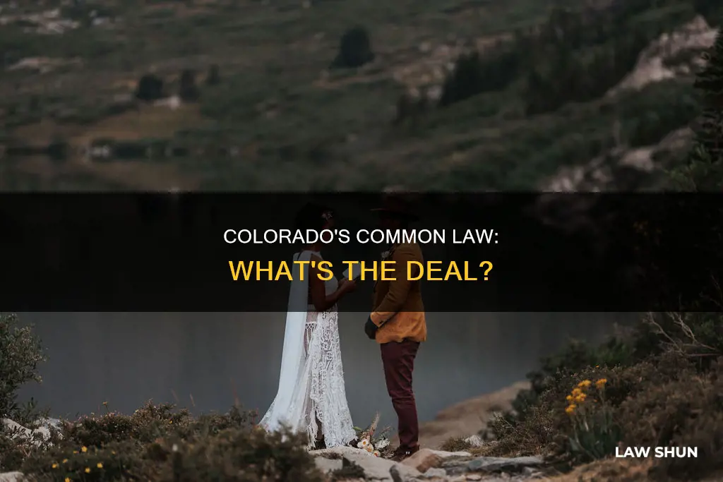 is there common law in colorado