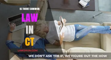 Common Law Marriage in Connecticut: Recognized or Not?