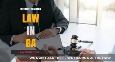 Common Law in Georgia: What's the Deal?