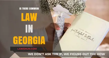 Common Law in Georgia: What's the Deal?