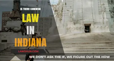 Common Law in Indiana: What's the Verdict?