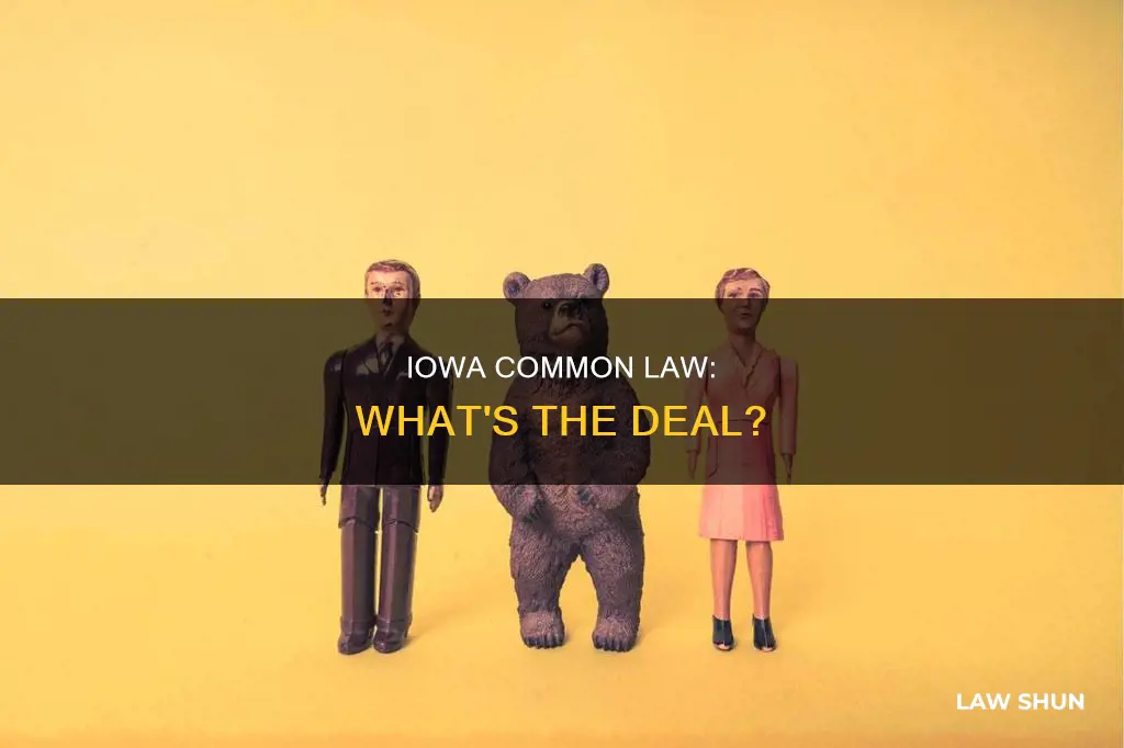 is there common law in iowa