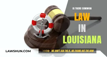 Louisiana's Unique Legal System: Common Law's Influence