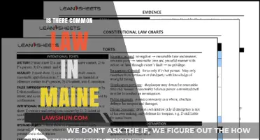 Common Law in Maine: What's the Deal?