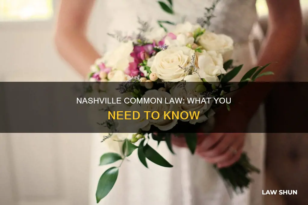 is there common law in nashville tn