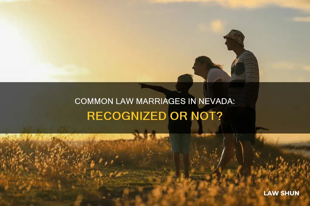 is there common law in nevada