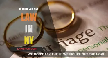 Common Law in NY: What's the Deal?
