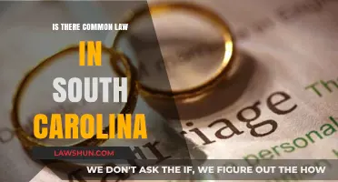 South Carolina's Common Law: What You Need to Know