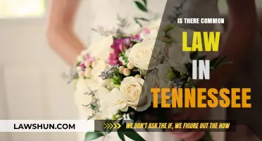 Tennessee's Common Law: What You Need to Know