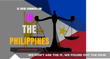 Common Law in the Philippines: A Valid Option?