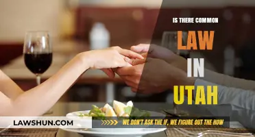 Common Law in Utah: What's the Deal?
