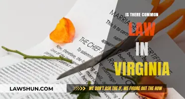 Common Law Marriages in Virginia: Recognized or Not?