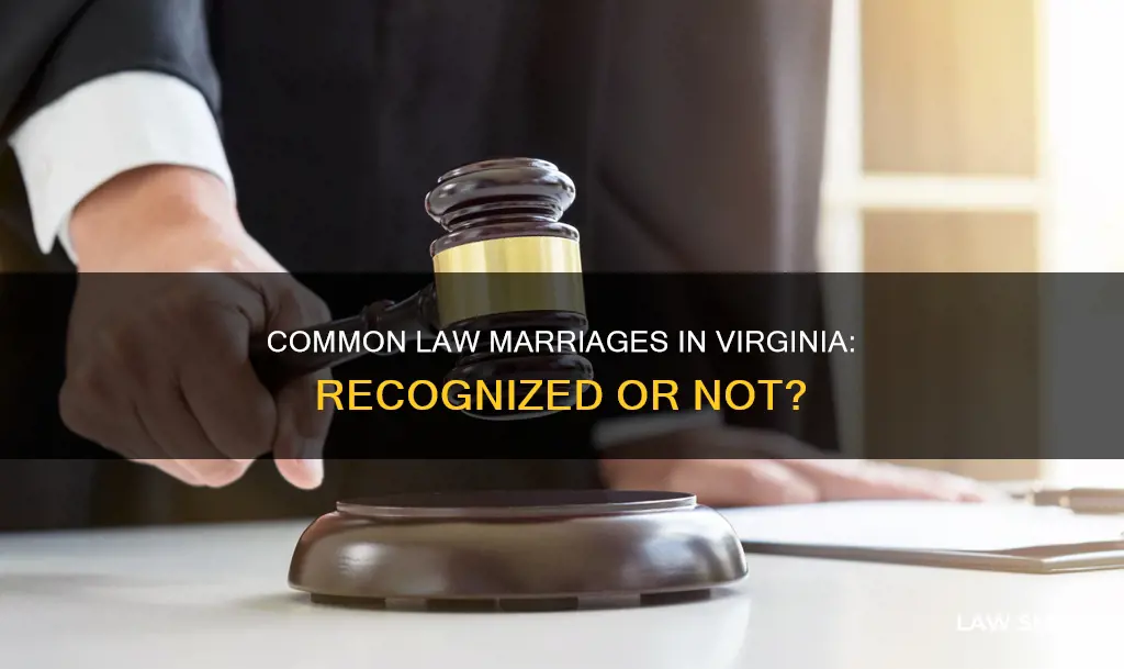 is there common law in virginia