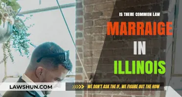Common Law Marriage in Illinois: What's the Verdict?