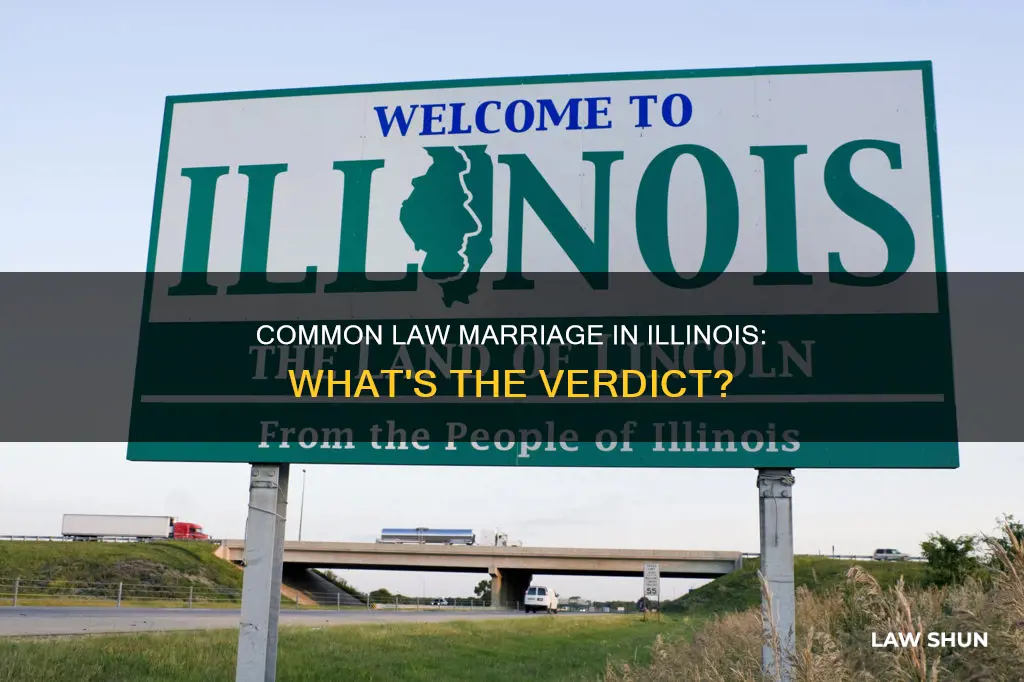 is there common law marraige in illinois