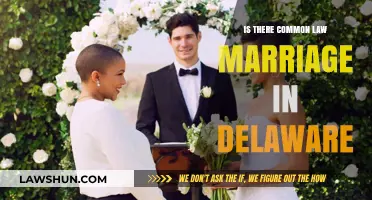 Delaware Common Law Marriage: What's the Law?