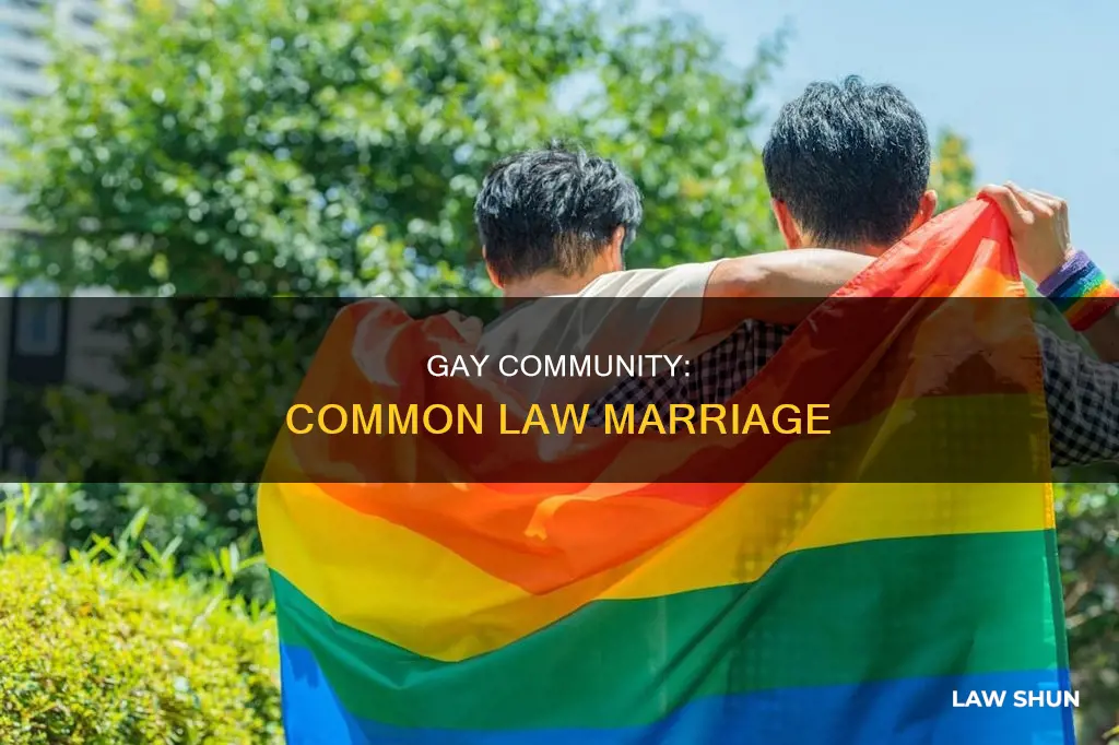 is there common law marriage in gay community