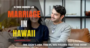 Hawaii's Stance on Common Law Marriage