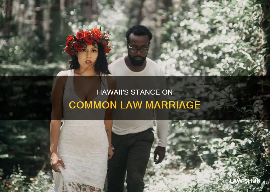 is there common law marriage in hawaii