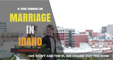 Idaho Common Law Marriage: What's the Law?