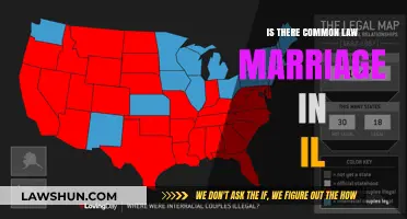 Common Law Marriage in Illinois: What's the Law?