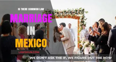 Common-Law Marriage in Mexico: Is It Recognized?
