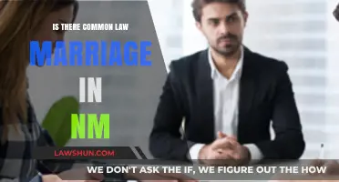Common-Law Marriage in New Mexico: What's the Law?
