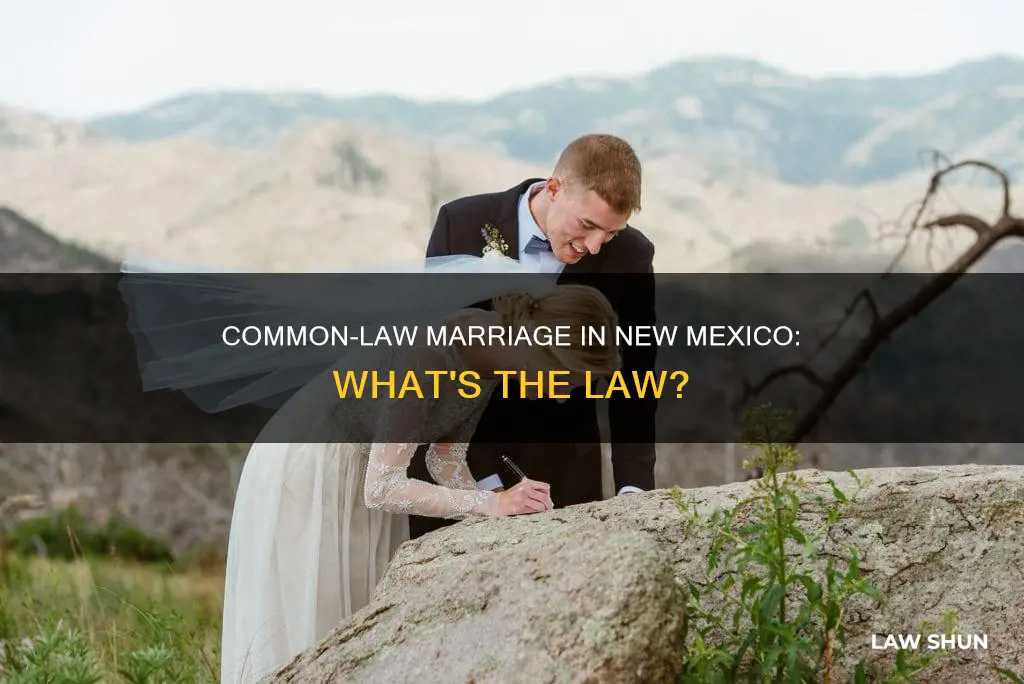 is there common law marriage in nm