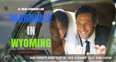 Wyoming's Stance on Common Law Marriage