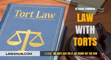 Understanding Torts and Common Law: What's the Link?