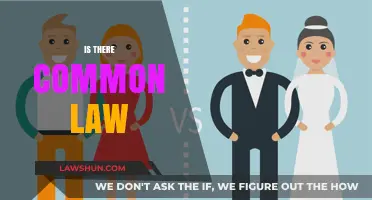 Common Law: A Universal Legal Code?