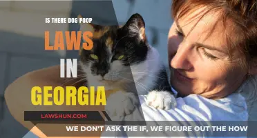 Georgia's Dog Poop Laws: What Pet Owners Need to Know