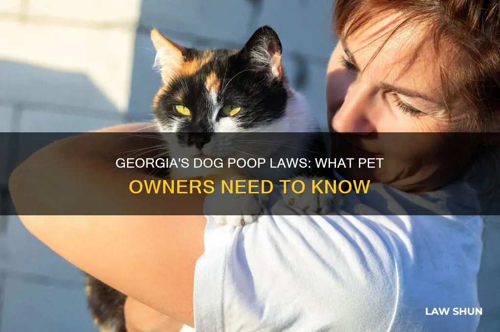 is there dog poop laws in georgia