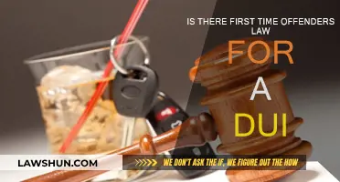 First-Time DUI Offenders: What's the Law?