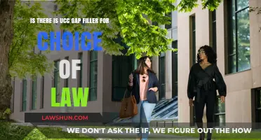 Bridging the UCC Gap: Choice of Law Fillers Explained