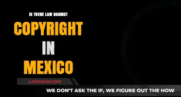 Understanding Mexico's Copyright Laws: Are There Legal Protections in Place?