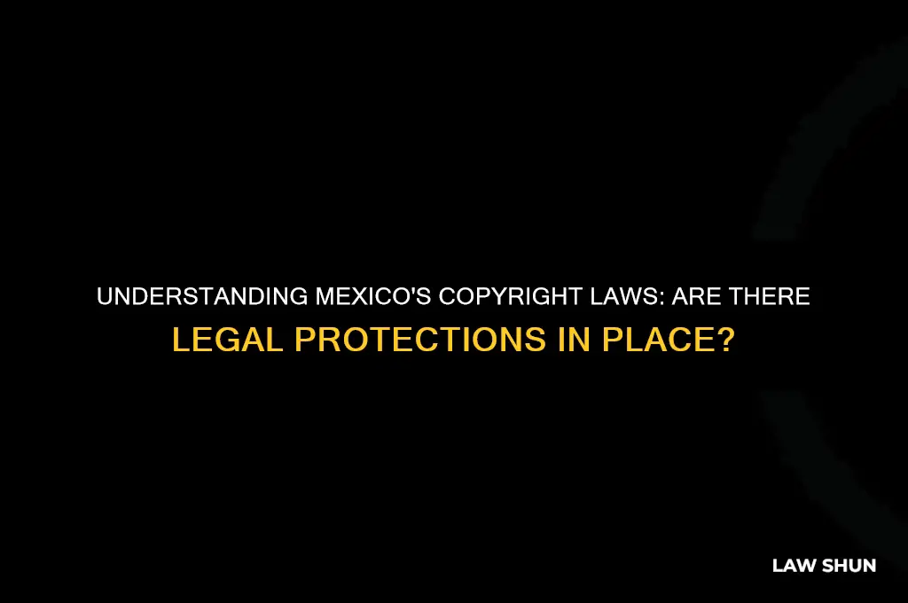is there law against copyright in mexico