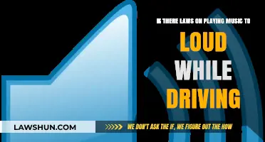 Legal Limits: Are Loud Car Music Laws Enforced on the Road?