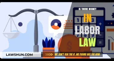 Exploring Profitability: Can Labor Law Be a Lucrative Career Path?